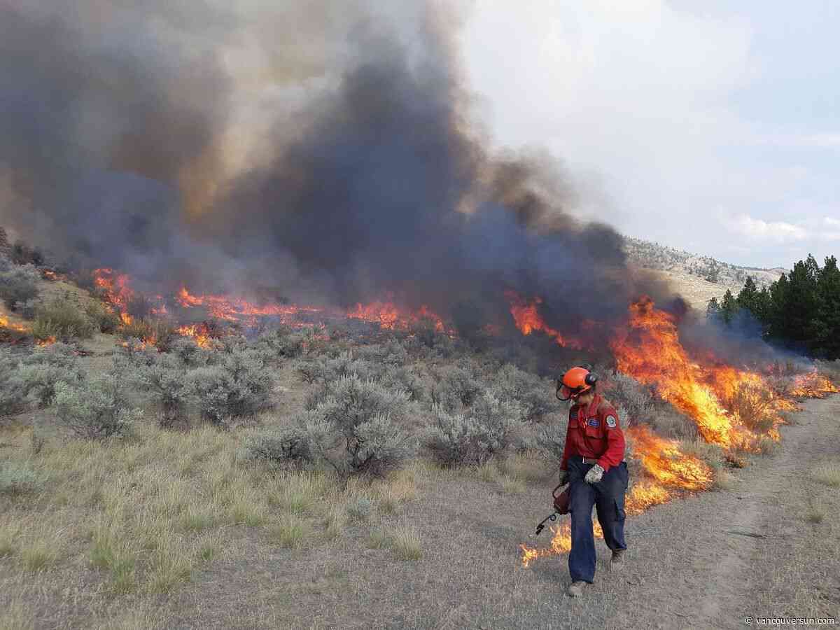 Opinion: Controlled burns could make future wildfires less severe in B.C. and beyond