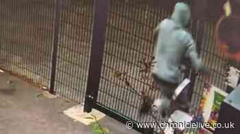 Bungling thief caught on camera falling off ladder while stealing plant pots from North East garden centre