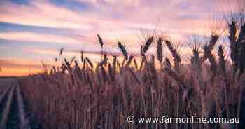 War premium hits: how global risk is now shaping Australian grain prices