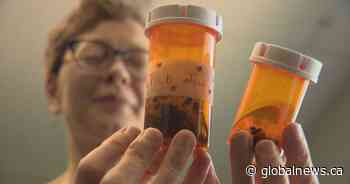 Lyme disease cases uptick in Manitoba