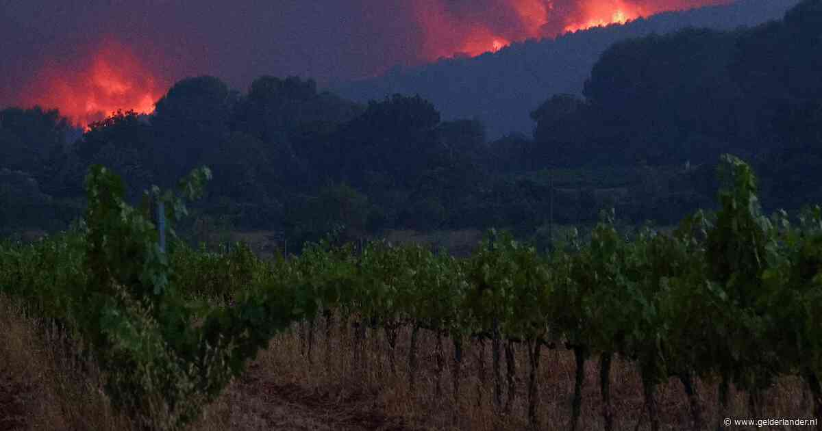 Nieuwe natuurbrand in Zuid-Franse regio Var breidt zich snel uit