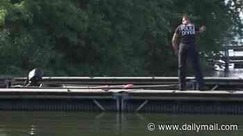 Two of five drowning victims identified after rushing into Ohio river to help struggling swimmer