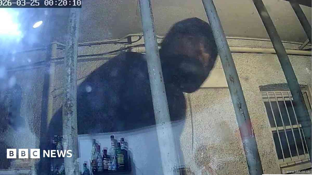Man filmed women undressing through windows
