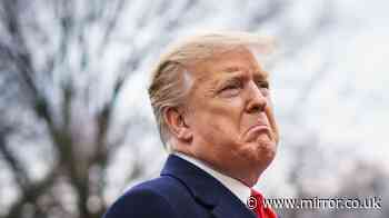 Americans dub Donald Trump 'dangerous' and 'corrupt' in scathing new survey