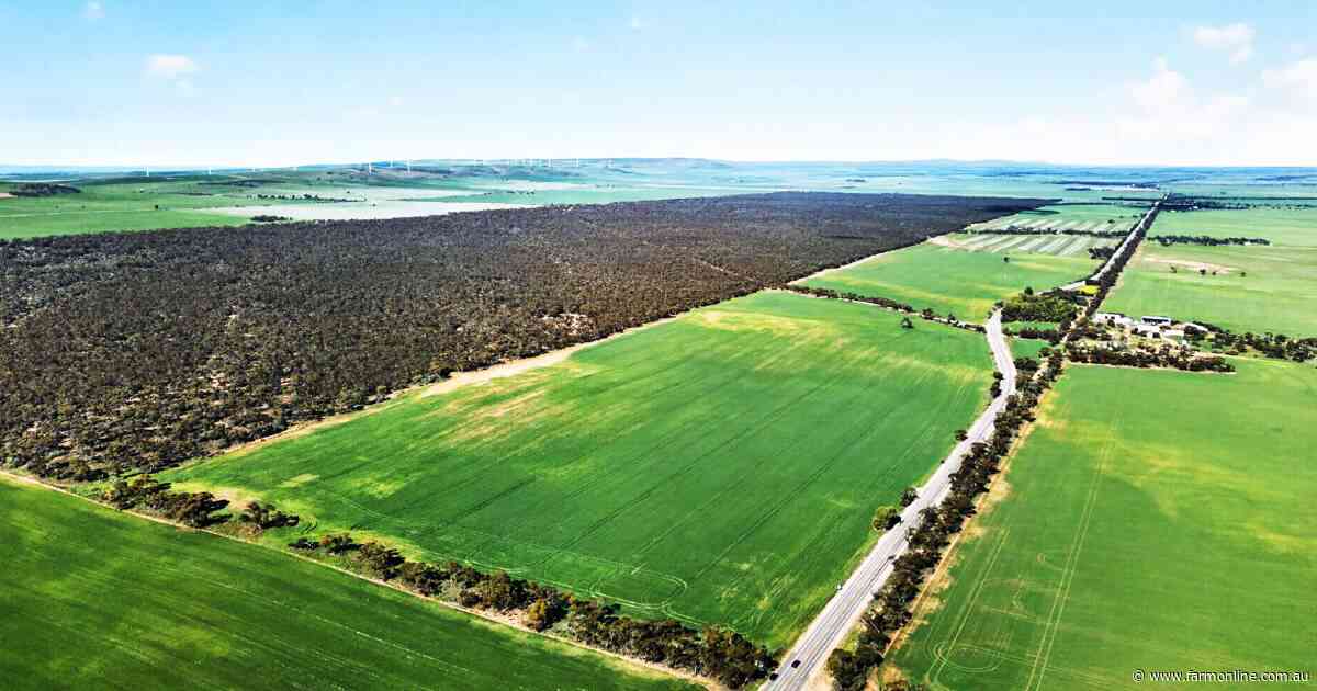 Clifford family offers long-held SA cropping land for sale and lease