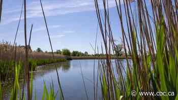 19 hectares added to proposed Ojibway National Urban Park lands
