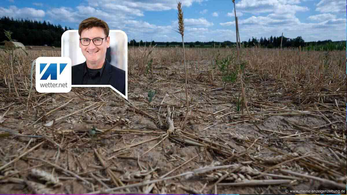 Dürre-Problem in Deutschland spitzt sich weiter zu – und nächste Hitzewelle beginnt noch in dieser Woche