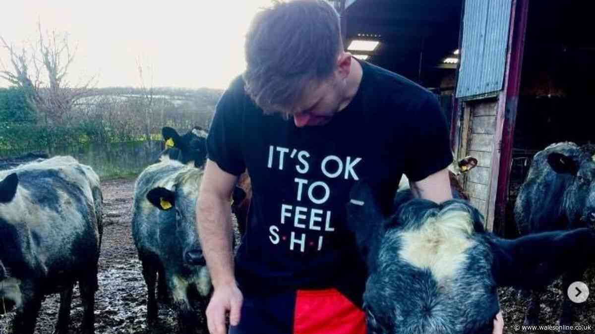 Fear, isolation, and fulfilment: Life as a Welsh farmer in 2026