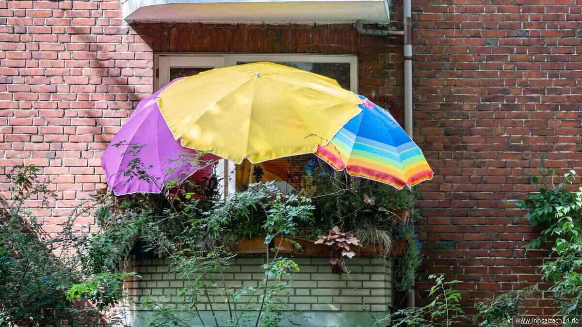 Keine neue Hitzewelle in Sicht? So zeigt sich das Wetter in Oberbayern