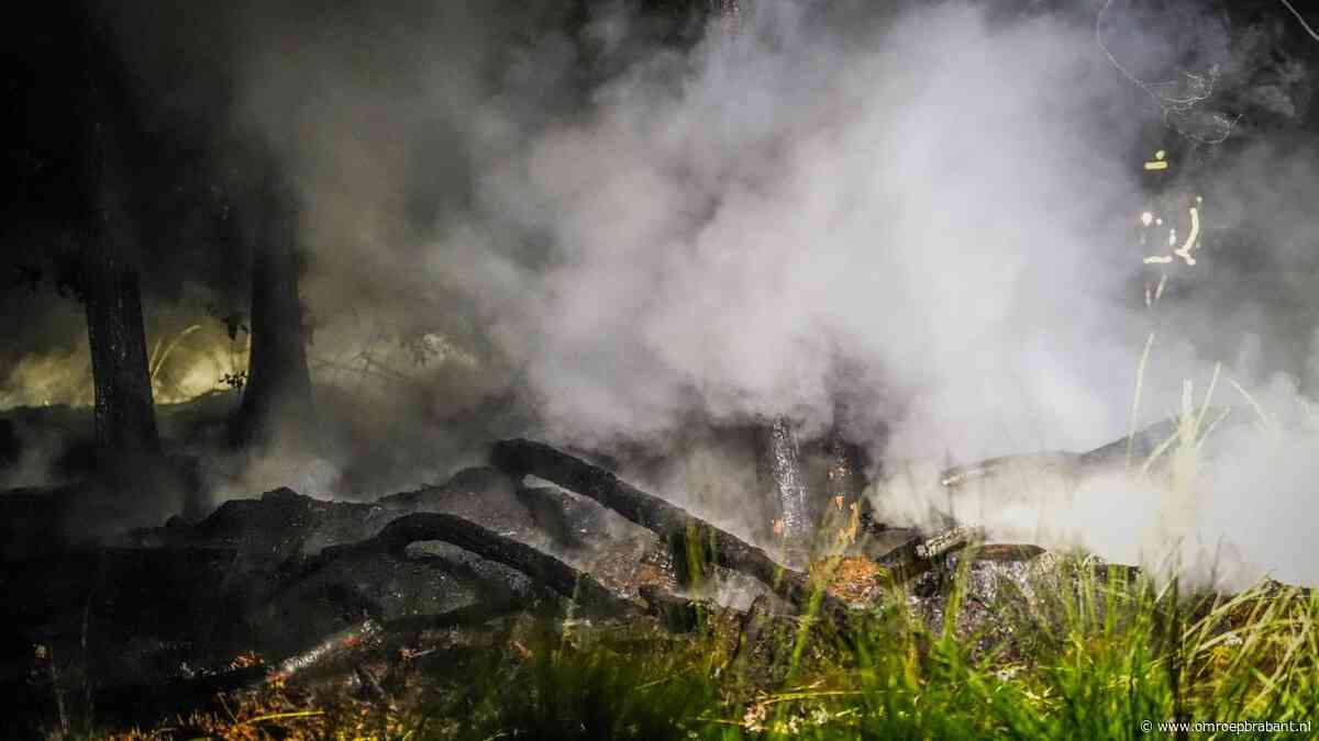 Brand in bosgebied bij Hapert laat zich moeilijk blussen