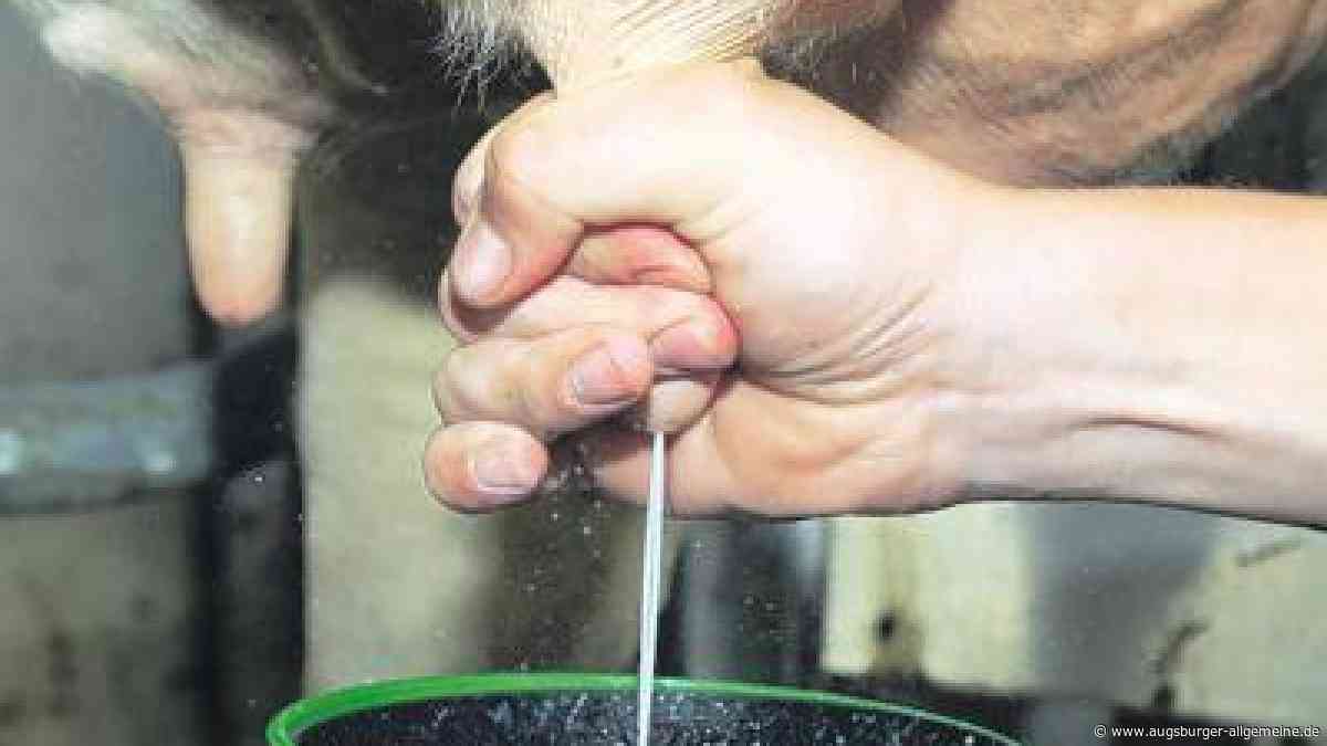 Raus aus dem Drogensumpf: Therapie auf dem Bauernhof