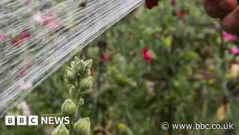 Everything you need to know about Thames Water's hosepipe ban