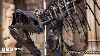 Oldest natural history museum completes redisplay