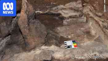 Grass 'skeletons' hint at 25,000-year-old Indigenous fire ritual in cave