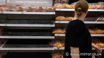 UK supermarkets face food shortages as Met Office issues heatwave verdict