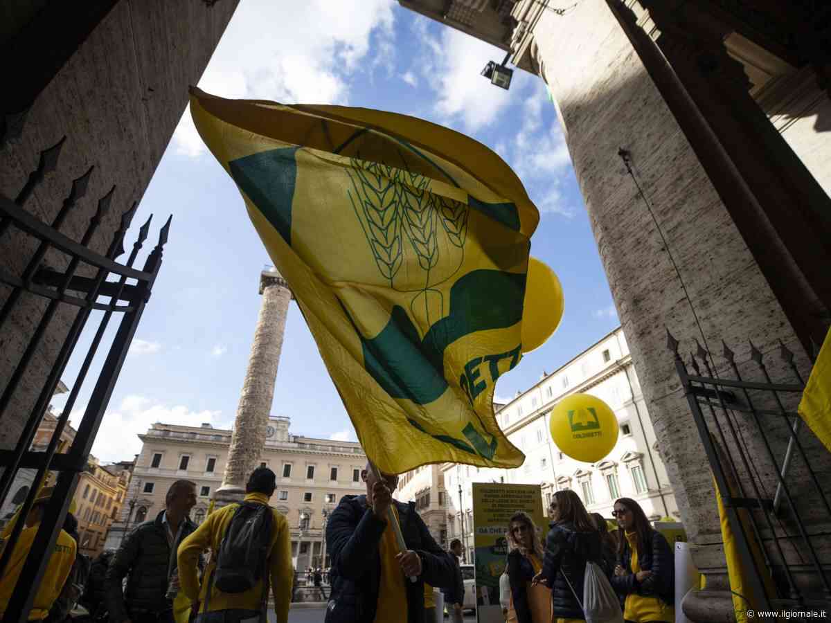 Coldiretti, piano per il grano