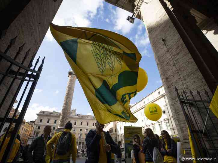 Coldiretti, piano per il grano