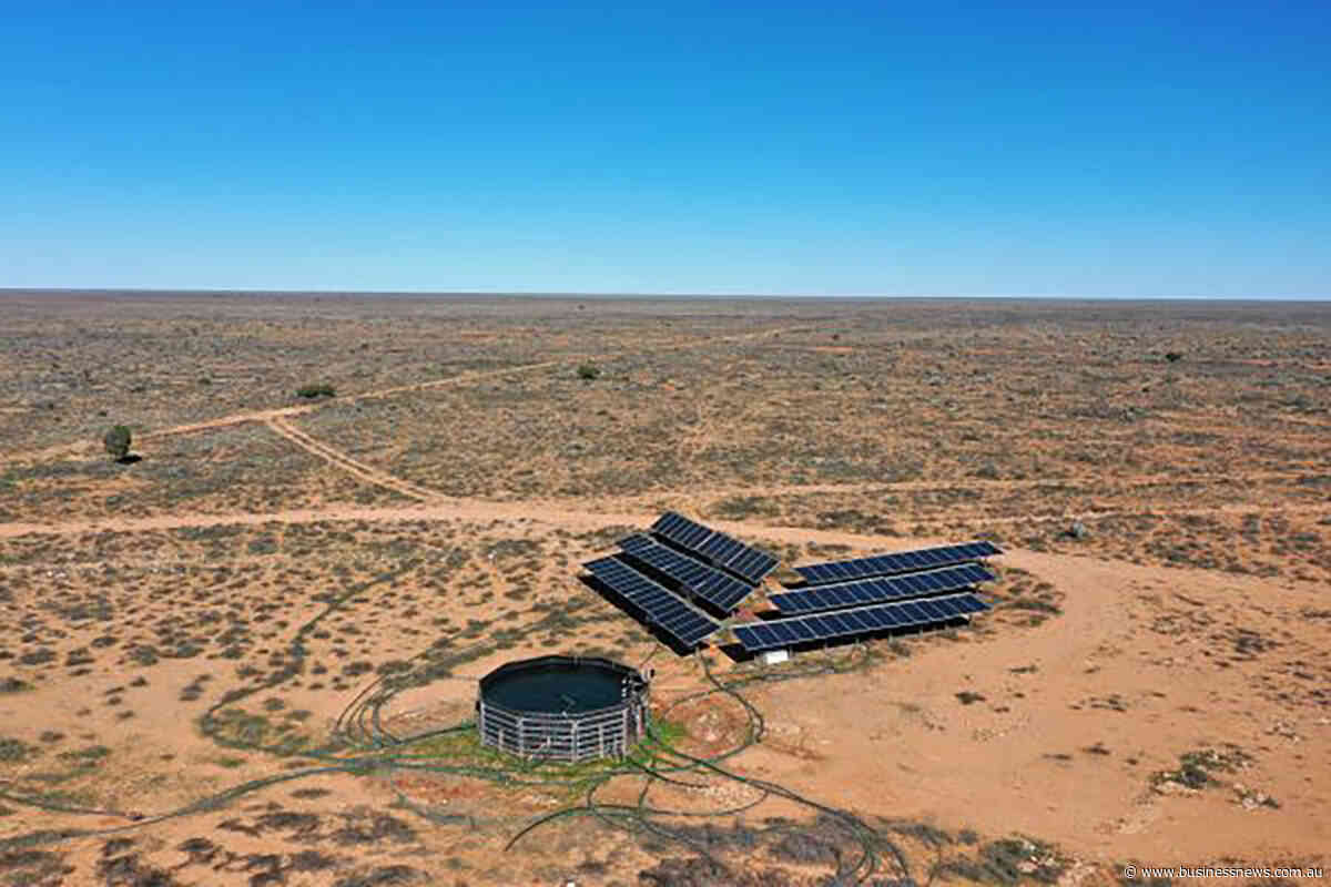 Madura Plains Station sale settles for Consolidated Pastoral Company