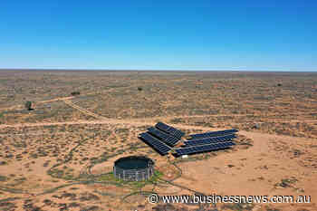 Madura Plains Station sale settles for Consolidated Pastoral Company