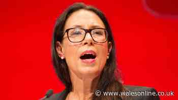 MP's want to cut National Insurance for employer's of people under 25
