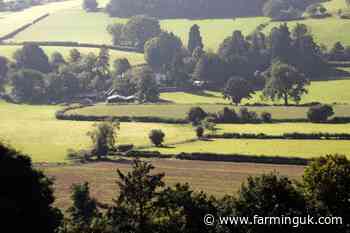 New Welsh law could put rural needs first