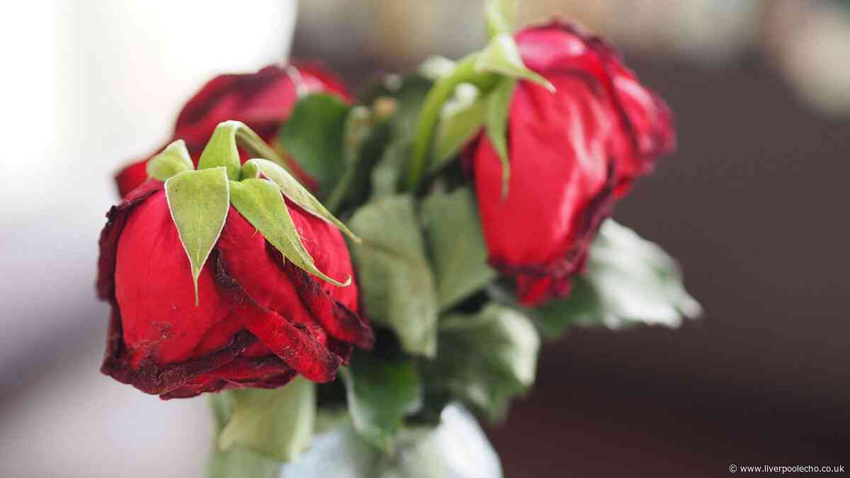 Stop flowers from wilting in the heat with £1 revival tip