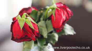 Stop flowers from wilting in the heat with £1 revival tip