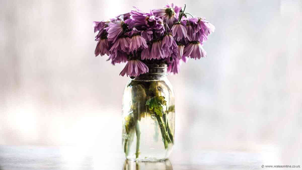 Revive drooping flowers in 30 minutes with simple revitalising tip