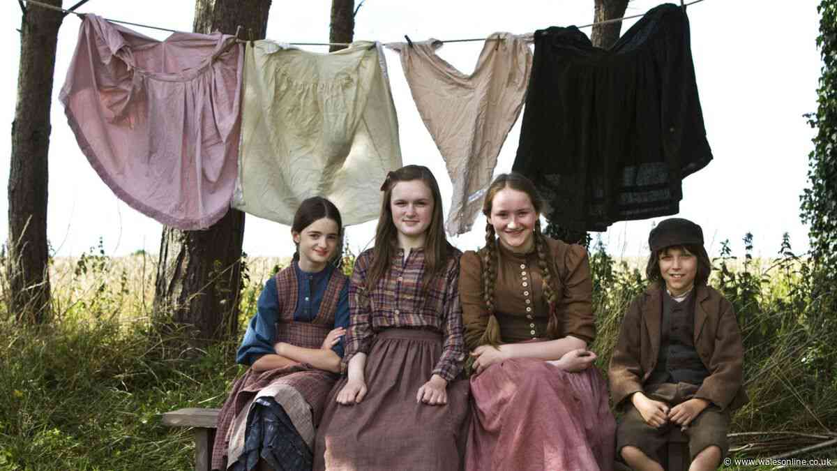 Jane Austen fans will love 'flawless masterpiece' streaming now on BBC