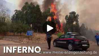 Beliebte Urlaubsinsel in Flammen: Brände erreichen Wohngebiete - Tausende ohne Wasser