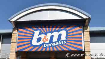 B&M hit with huge fine as mouse infestation and droppings found in UK stores