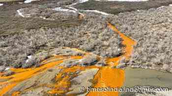Alaska's crystal-clear rivers are turning vivid orange: Metal pollution is creating 'rusting' waterways, threatening wildlife, habitats and drinking water