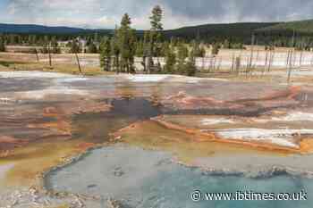 Tourists Walk Near Yellowstone's Blue Hot Springs, Unaware They Could Suffer Severe Burns