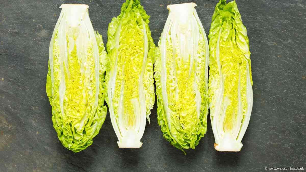 Keep lettuce fresh for up to 2 weeks longer in the fridge by wrapping in 1 common item