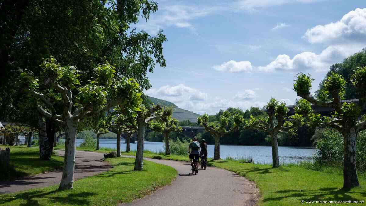 Römische Geschichte, Moselschleifen und Weinberge: Diese Route in Rheinland-Pfalz hat es in sich