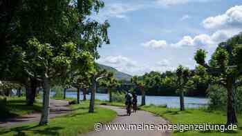 Römische Geschichte, Moselschleifen und Weinberge: Diese Route in Rheinland-Pfalz hat es in sich
