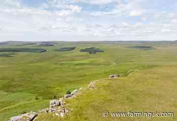 7,500-acre estate bought for major nature recovery scheme