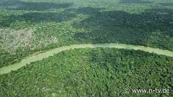 Immer noch Millionen Hektar: Am Amazonas ist so wenig Wald abgebrannt wie seit 40 Jahren nicht