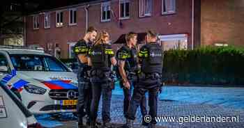 Arnhemmer zet pleintje twee keer op stelten met schoten en brandpoging: rechter legt verplichte behandeling op