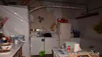 'Highly sophisticated' cannabis factory found in disused chicken farm with people 'living on site'