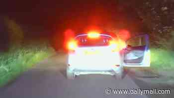 Moment speeding driver squeals for help as he is hunted down by police dog while trying to flee on foot after 80mph chase