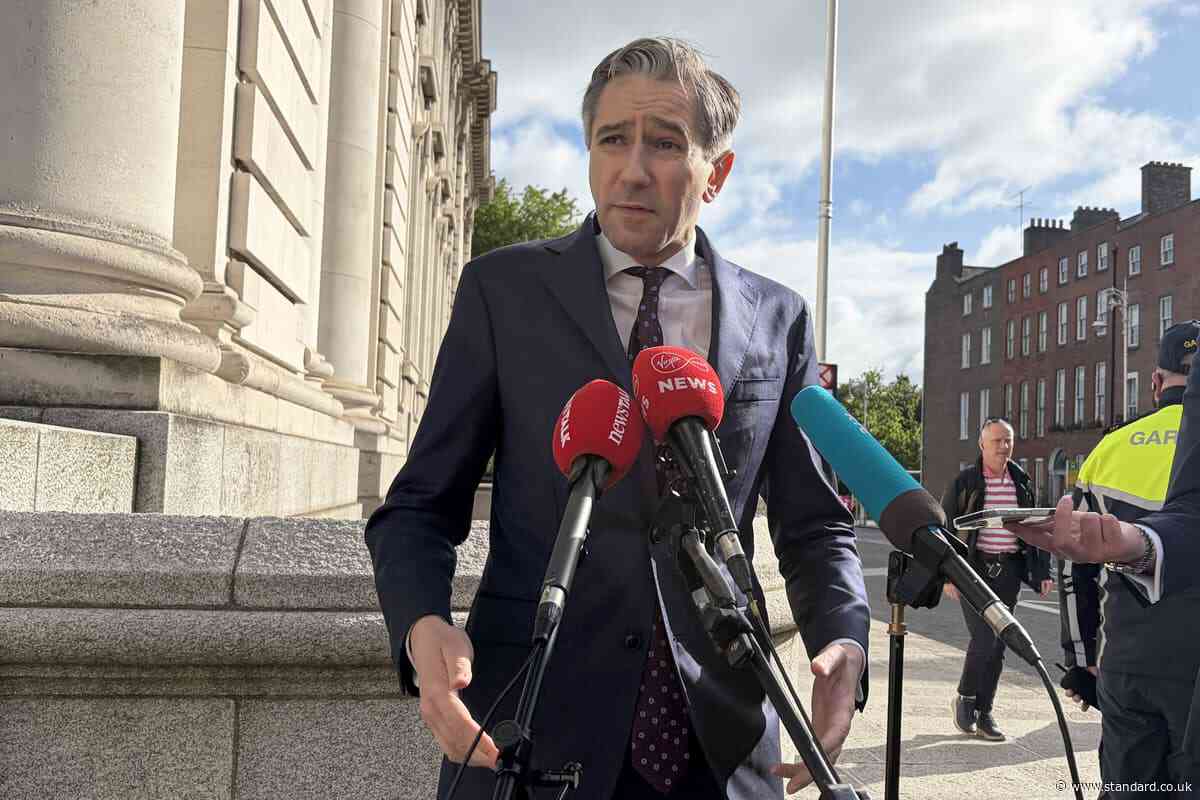 Ireland ‘ready to support’ closer UK-EU ties under Burnham, says deputy premier