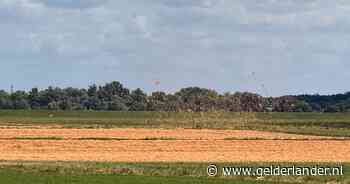 Bijzonder zomers natuurfenomeen gefilmd tussen Huissen en Arnhem