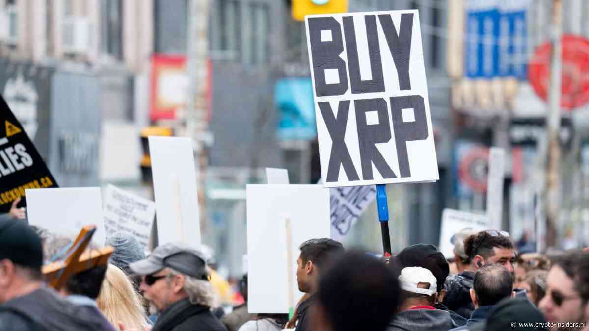 Grote XRP-investeerders kopen bij terwijl kleine beleggers afhaken