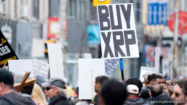 Grote XRP-investeerders kopen bij terwijl kleine beleggers afhaken