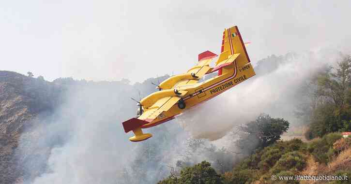“Hanno usato i gatti per gli inneschi, una cosa disumana”. Incendi in Calabria, il racconto del dirigente della Protezione civile