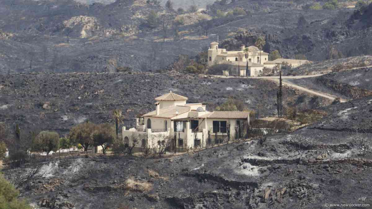 LIVE | Al vroeg in de zomer veel natuurbranden in Spanje: gebied bijna zo groot als provincie Utrecht verwoest