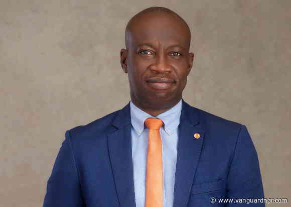Gas remains backbone of Nigeria’s power system – Vincent Ozoude