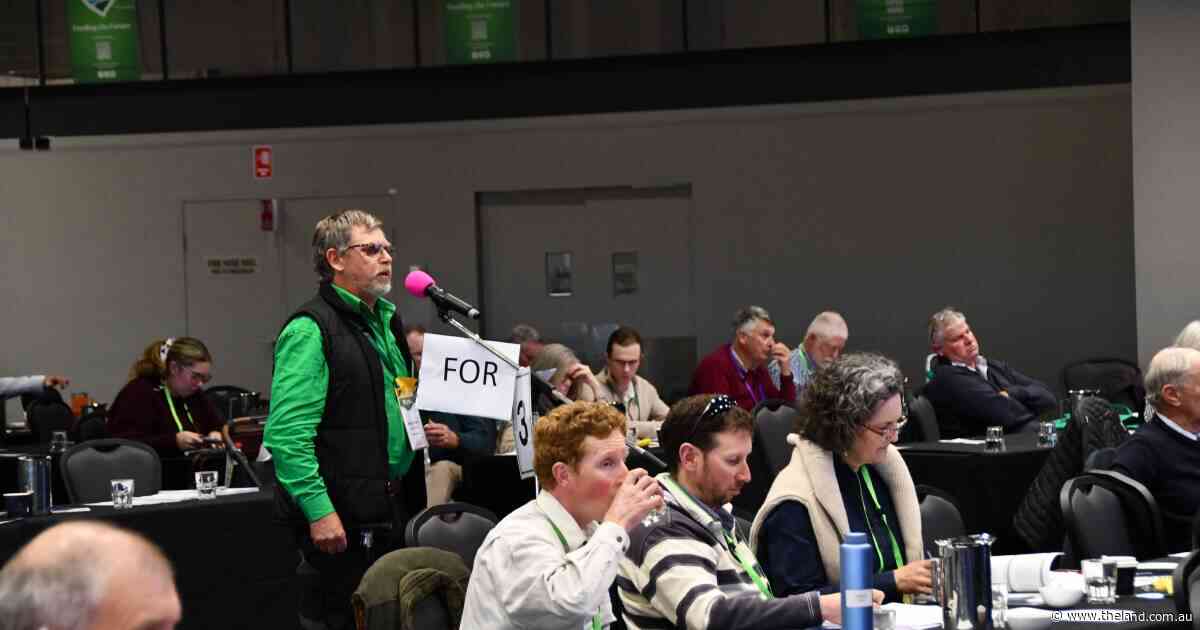 A plan for droughts, firearms and an energy future: all the conference action