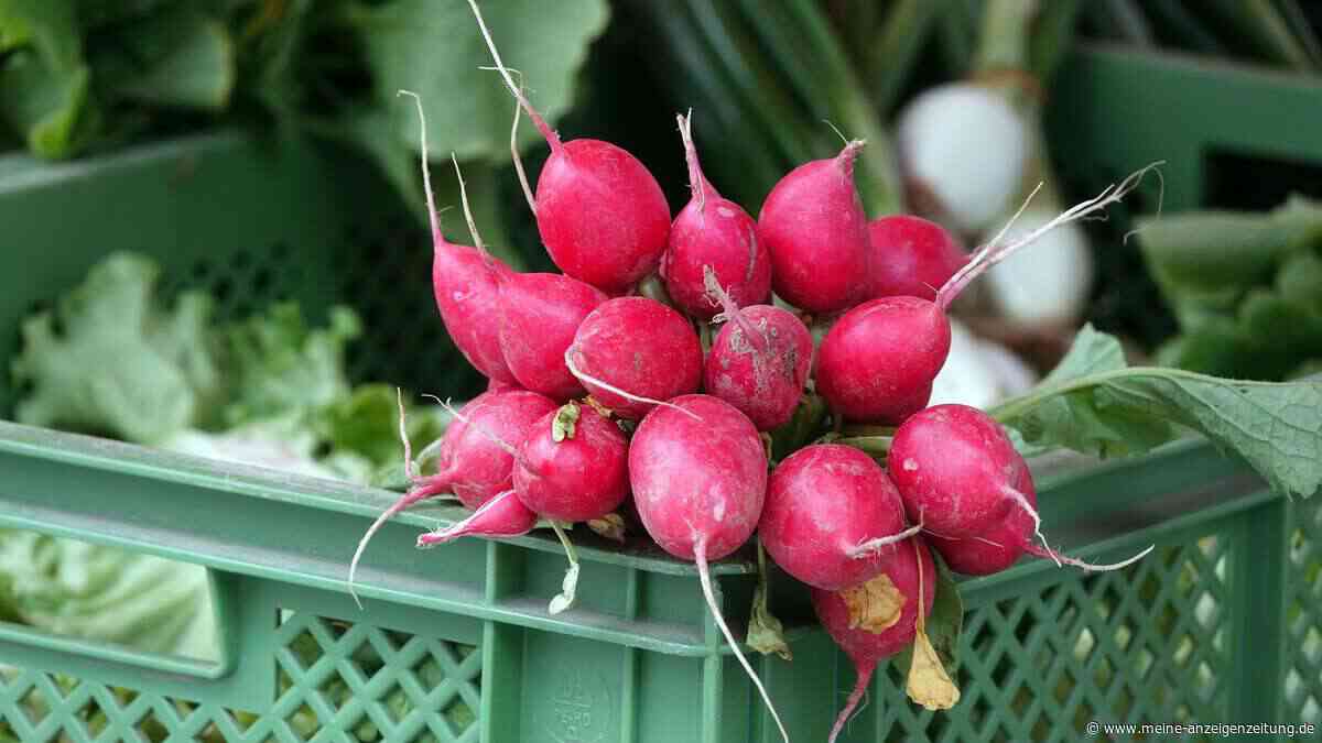 Knackiger Radieschensalat – einfaches Rezept für Frühling und Sommer